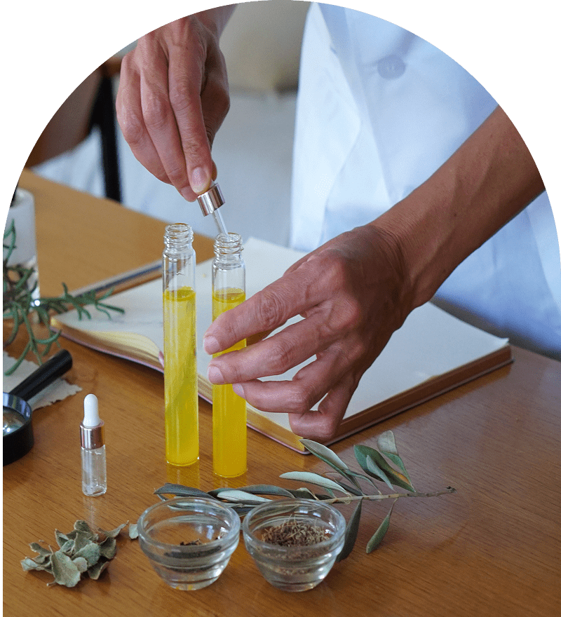 Hands preparing essential oils with herbs.